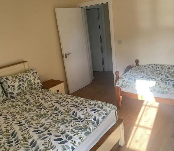 Beechwood - B 度假居 巴利博菲